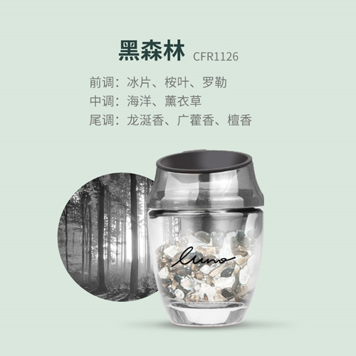 <露力>水晶石?风口香薰-黑森林（黑色）