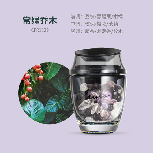 <露力>水晶石?风口香薰-常绿乔木(紫色)