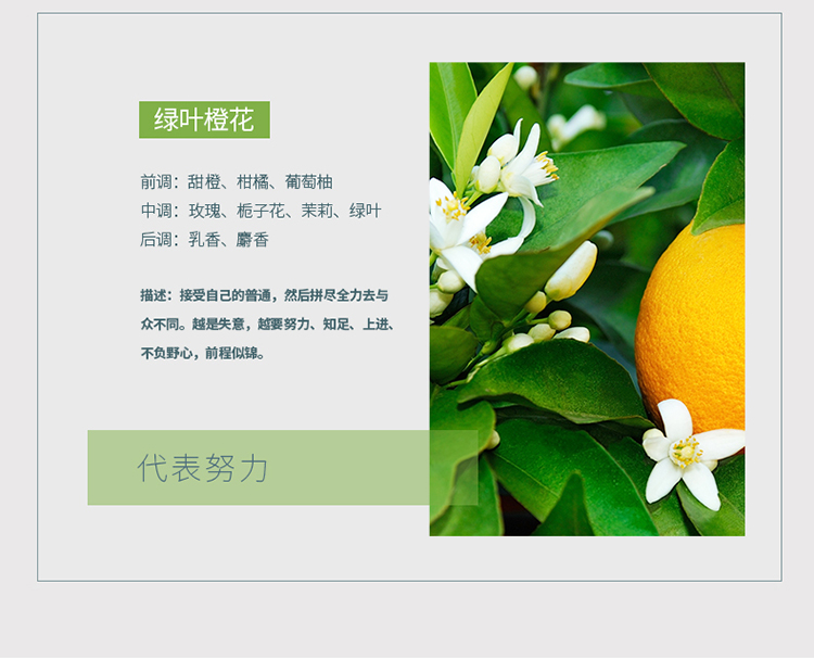 亚洲城登录大厅