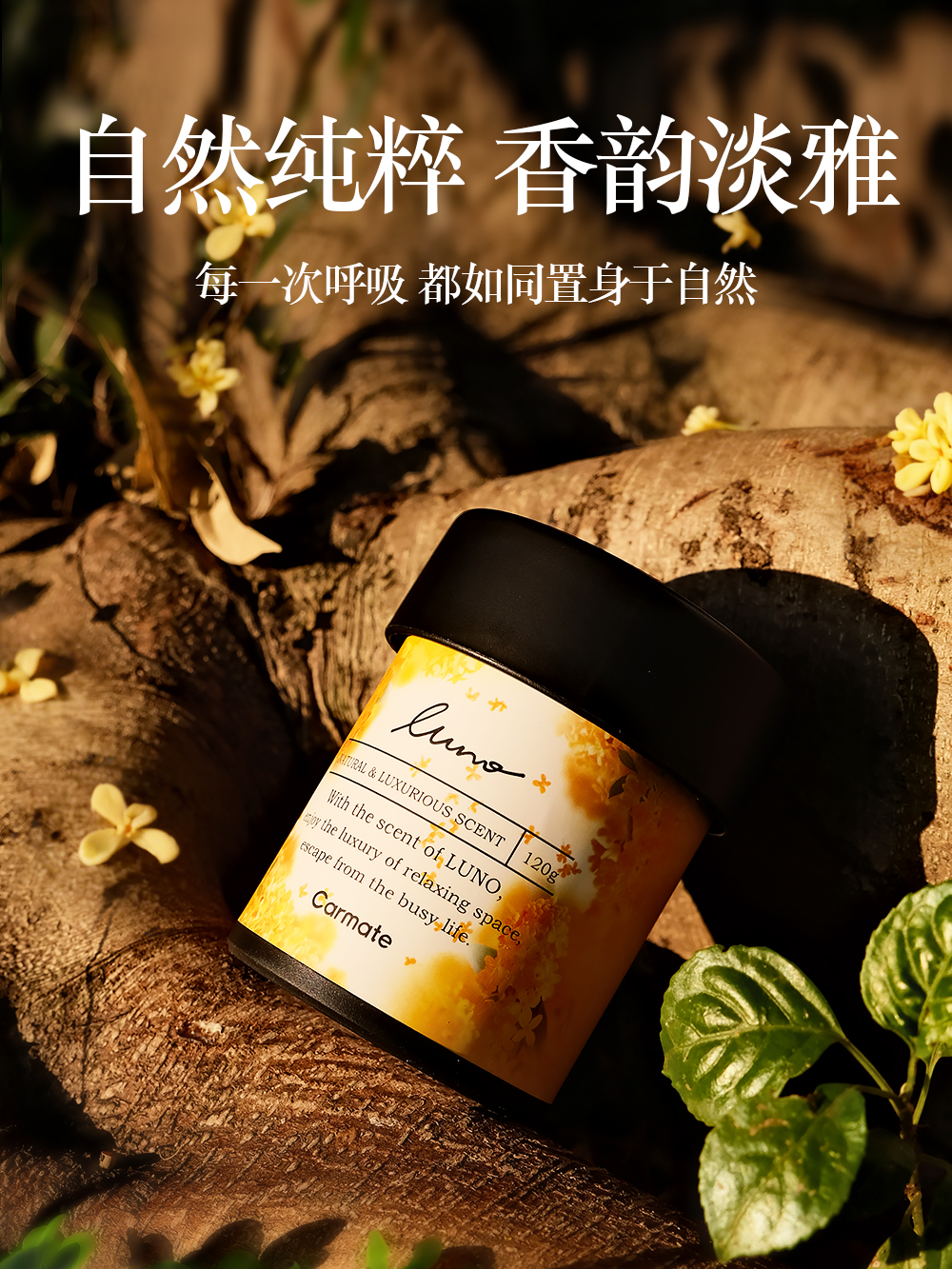 亚洲城登录大厅