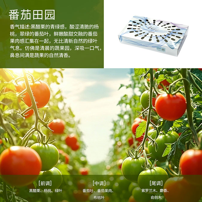 亚洲城登录大厅